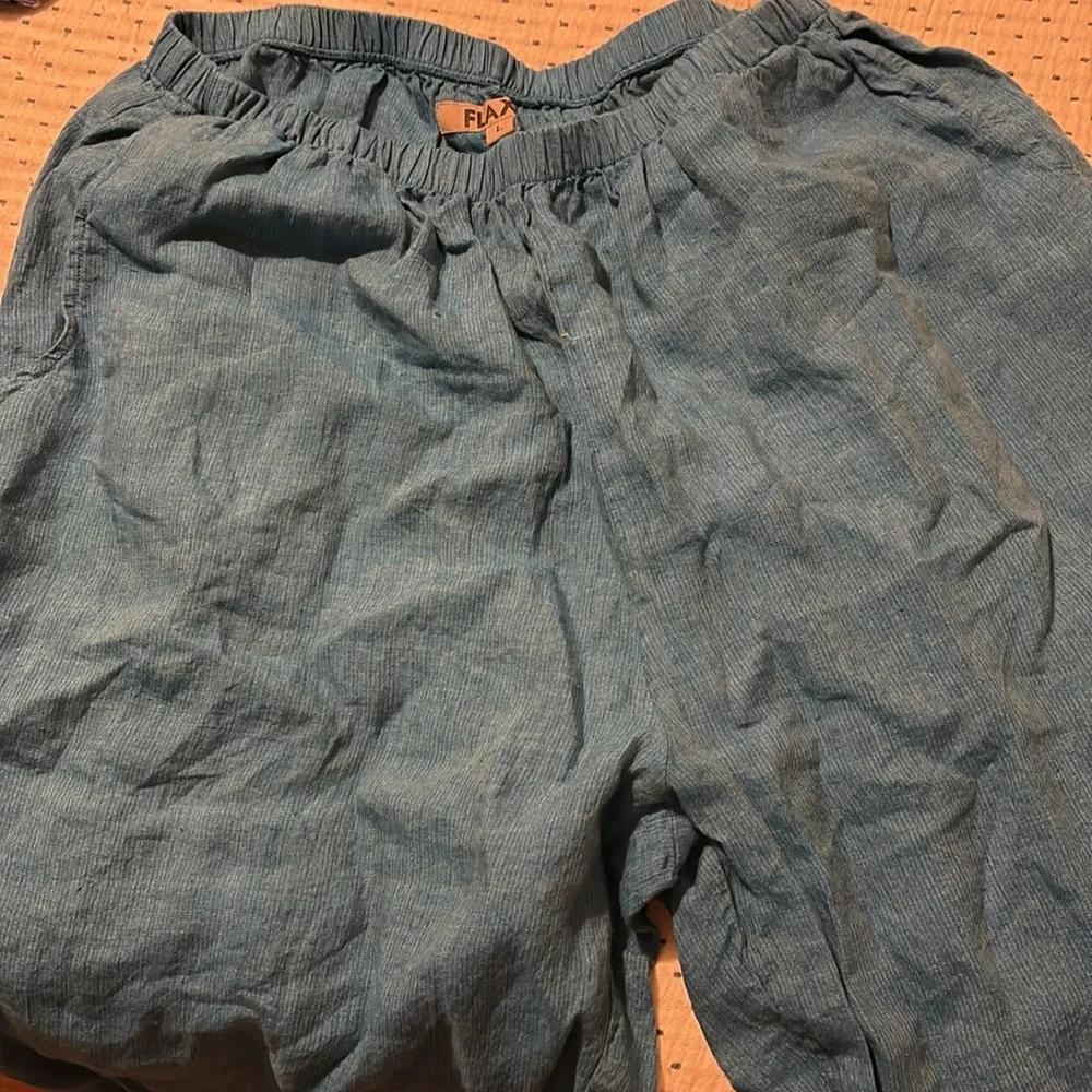 Flax Teal Relaxed Pants - Picture 4 of 4
